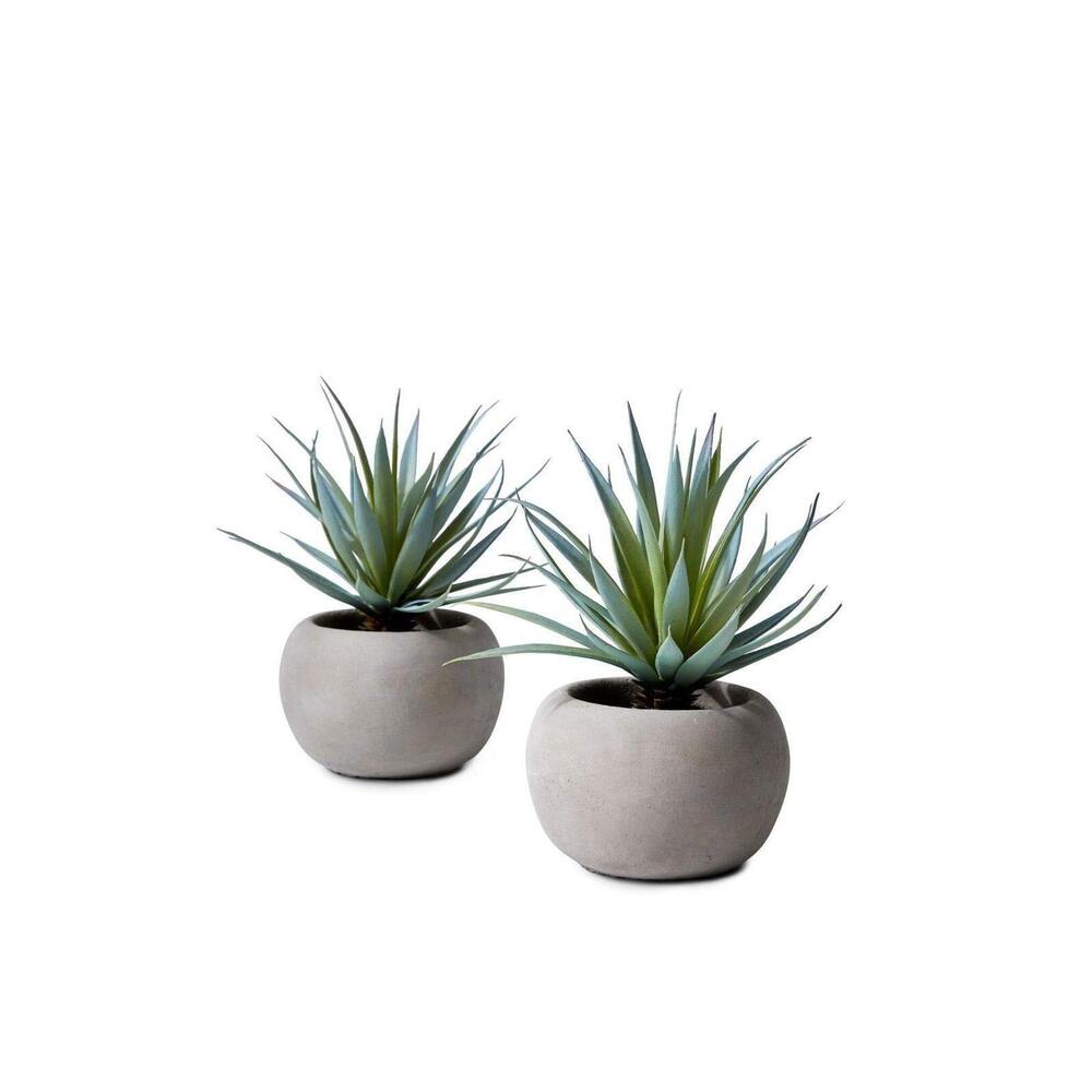 3389 Sword Grass in Grey Cement Pot, Set of 2, Perfect for Weddings